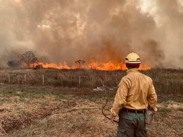 Nuevos incendios en Misiones