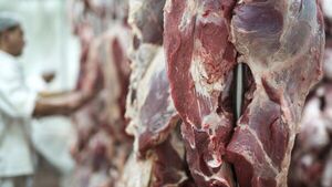 Paraguay suspende envío de carne a Rusia y buscará diversificación
