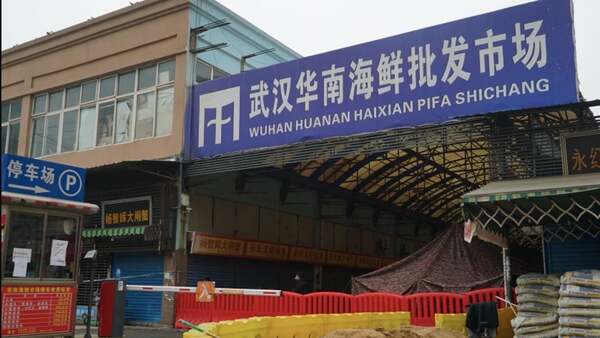 Estudios científicos concluyen que pandemia covid comenzó en mercado de Huanan