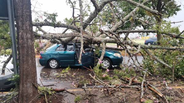 Crónica / ¡Tormenta ya causó guyryry en Encarnación!
