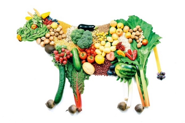 Vegetariano o vegano: ¿cuál es la diferencia?
