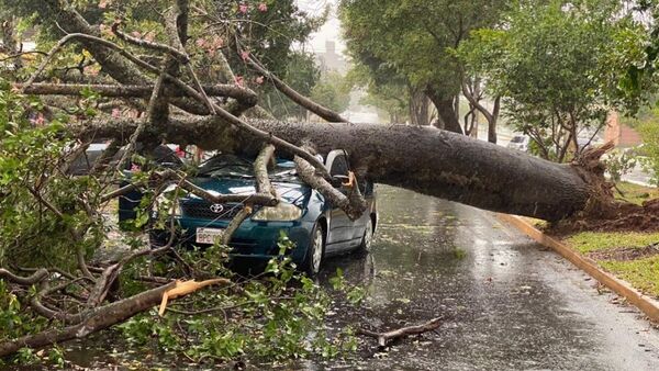 Temporal deja varios daños materiales en Encarnación