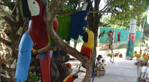 Muestra de artesanía sobre aves, en el Museo Nacional Bernardino Caballero