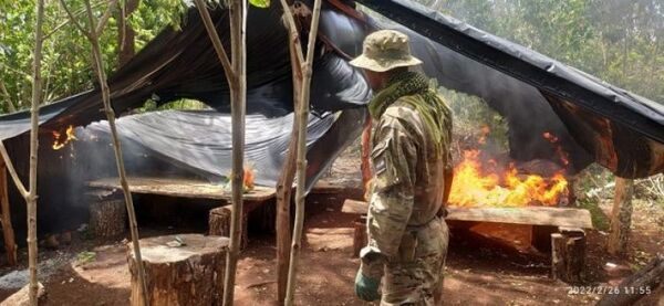 «Nueva Alianza 29»: Destruyen más de 400 toneladas de droga en 6 días
