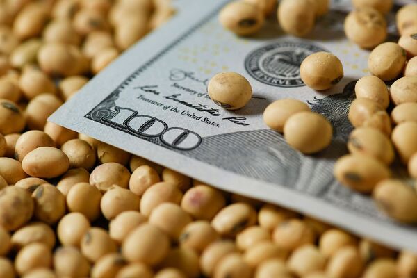 Expectativas de altos precios de commodities, para suavizar el impacto de la sequía en el sector productivo - MarketData