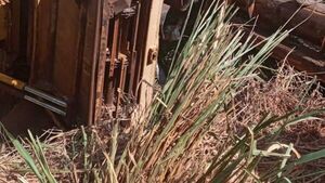 Adolescente murió aplastado por una trilladora