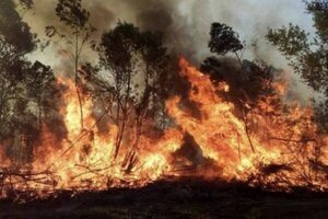 Afirman que Corrientes sigue viviendo una pesadilla con incendios forestales - Megacadena — Últimas Noticias de Paraguay