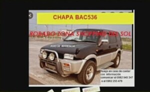 Robacoches se llevaron una camioneta - C9N