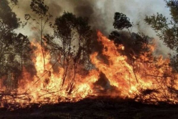 Afirman que Corrientes sigue viviendo una pesadilla con incendios forestales