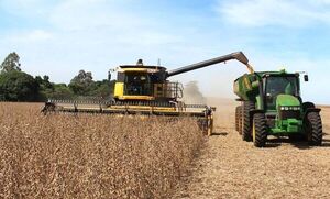 Invasión a Ucrania tiene impactos negativos en los commodities agrícolas de América