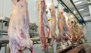 Incertidumbre en la exportación y cobro por carne paraguaya a Rusia  - Nacionales - ABC Color