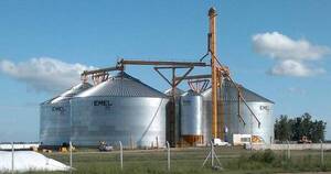 La Nación / Sequía podría afectar calidad de productos agroindustriales paraguayos