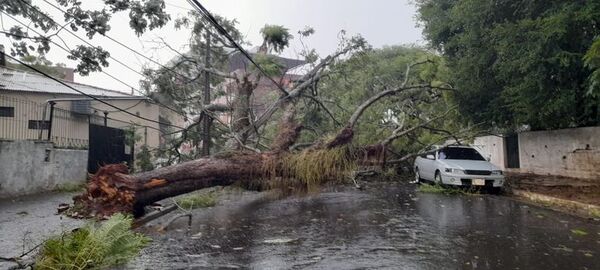 Tormenta afectó 19 circuitos de 23.000 Voltios en área Metropolitana - Nacionales - ABC Color