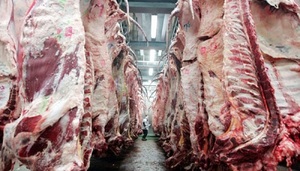 Presidente pide buscar mercados alternativos a Rusia para la carne paraguaya