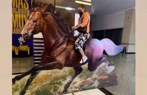 Crónica / [VÍDEO] Por culpa de su lelu, ¡ñande Miss Mundo cayó de un caballo!