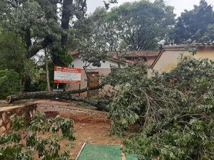 Temporal de esta madrugada afectó varias casas en Guarambaré - Nacionales - ABC Color