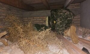 Allanan otro templo evangélico en Roque Alonso y descubren escondite
