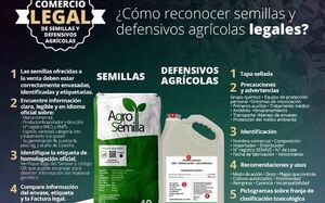 Campaña a favor del comercio legal de semillas y defensivos - Nacionales - ABC Color
