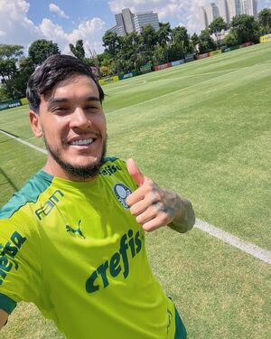 El Palmeiras de Gómez va por el título de la Recopa Sudamericana - Fútbol - ABC Color