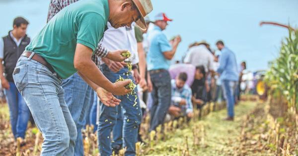 Inteligencia artificial, insumos ecológicos y plantas fotovoltaicas, novedades de Innovar