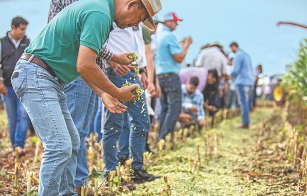 Innovar: inteligencia artificial, insumos ecológicos y plantas fotovoltaicas en la expo