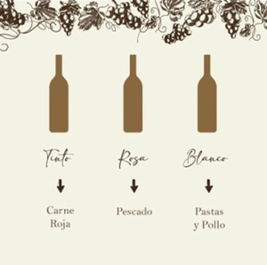 Conocé el vino ideal para acompañar tus comidas | Telefuturo