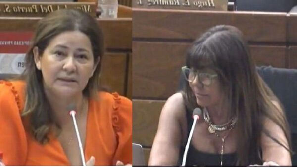 Las acusaciones que realizó la diputada Cristina Villalba contra Celeste Amarilla