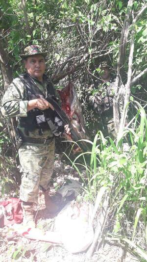 San Joaquín: A tiros recuperan carne de una vaquilla faenada por abigeos