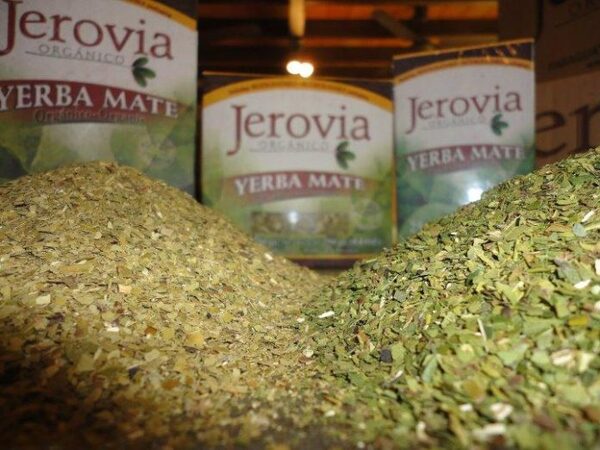 Envían 10.000 cajas de yerba mate orgánica a tiendas de Europa - ADN Digital