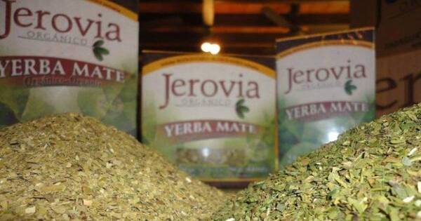 La Nación / Envían 10.000 cajas de yerba mate orgánica