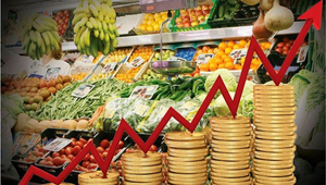 La inflación interanual de febrero fue del 9,3%