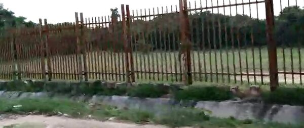 Denuncian robo de cerco metálico del Jardín Botánico - Nacionales - ABC Color