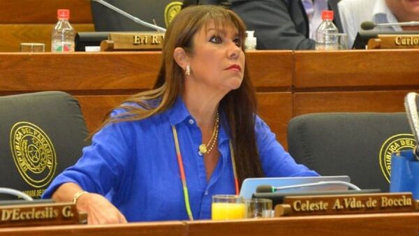 Diputada planteará que Cámara Baja ya no se llame "honorable"