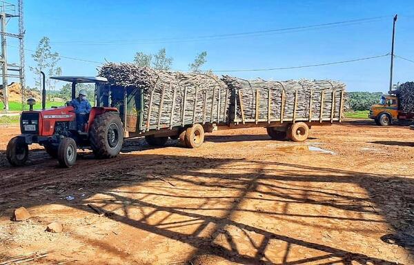 Petropar inicia construcción del nuevo molino en la planta alcoholera de Troche - .::Agencia IP::.