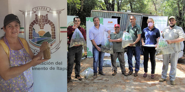 FOMENTO A LA PRODUCCIÓN PISCÍCOLA Y A LA INDUSTRIALIZACIÓN DE FRUTAS EN LOS DISTRITOS DE HOHENAU Y YATYTAY - Itapúa Noticias
