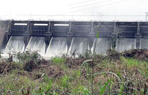 Proponen que Acaray compense a Alto Paraná por territorio inundado - ABC en el Este - ABC Color