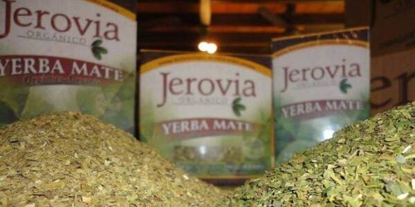 Importante carga de yerba mate orgánica nacional se comercializará en los exigentes mercados de la Unión Europea