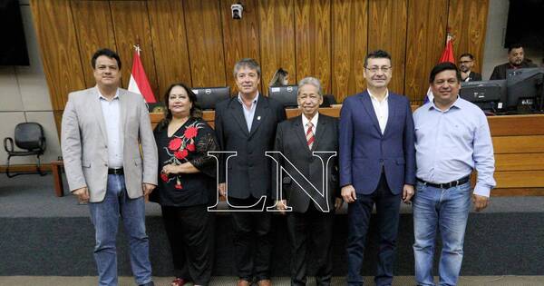 La Nación / Constatan violación del reglamento interno por diputados velazquistas y opositores