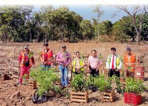 Plantaron 450 árboles nativos en San Ignacio - Megacadena — Últimas Noticias de Paraguay