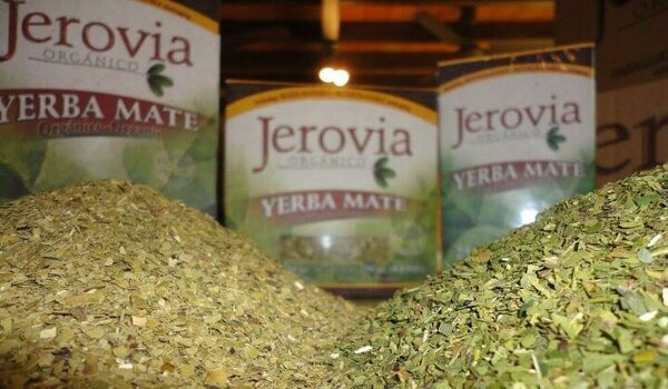 Empresa paraguaya exporta 5.000 kilos de yerba mate