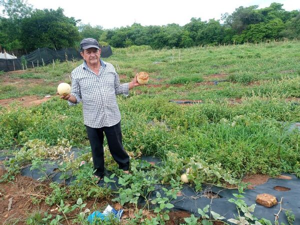 Fenómeno “La Niña” se debilitaría desde mayo  - Nacionales - ABC Color