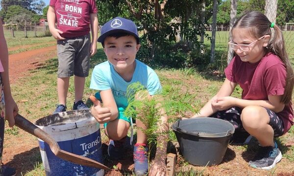 Distribuirán plantines en el marco de la campaña “Plantemos Alto Paraná”