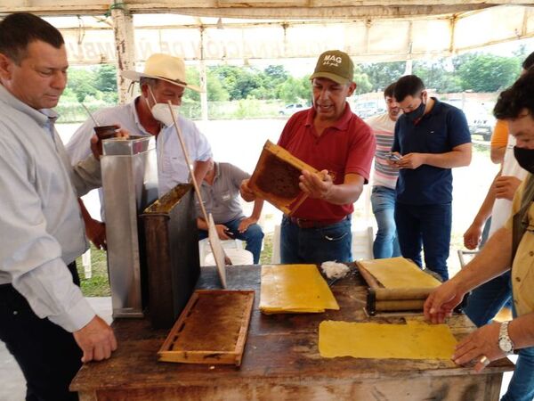 Apicultores de Ñeembucú buscan inscribir marca en Dinapi - Nacionales - ABC Color