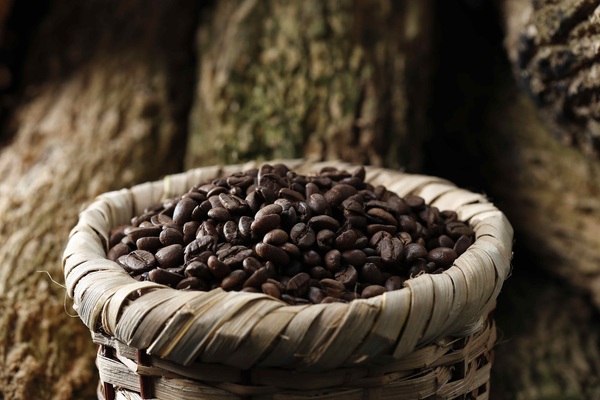 Naciones Unidas apoyará a Cuba para aumentar la producción de café y cacao - MarketData