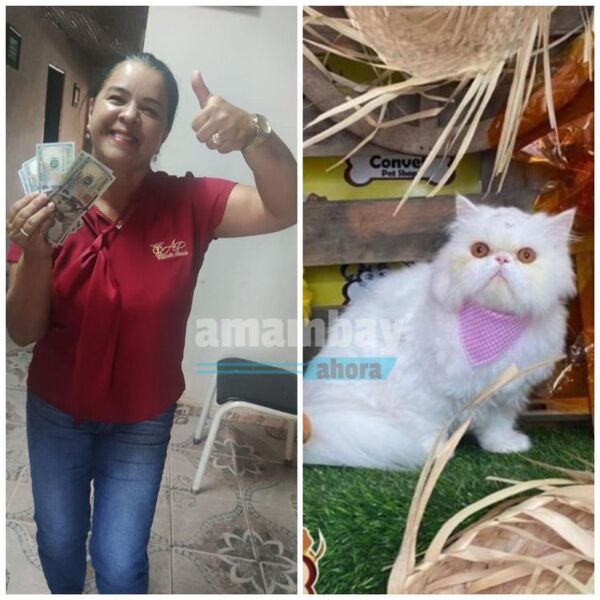 Se embolsó mil dólares por encontrar gato desaparecido