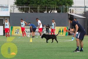 Crónica / Firulais “Supervisó” el calentamiento