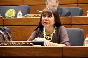 Diputada Celeste Amarilla pide disculpas a colegas tras acusarlos de narcos
