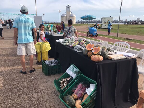 Primera Expo Feria “Jakakuaa haguã oñondive” fue un éxito en Encarnación
