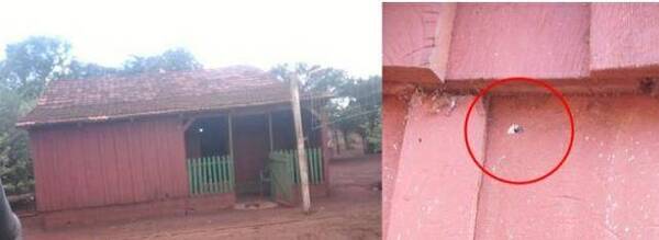 Crónica / Vecino rabioso denunciado por disparar hacía casa ajena ndaje