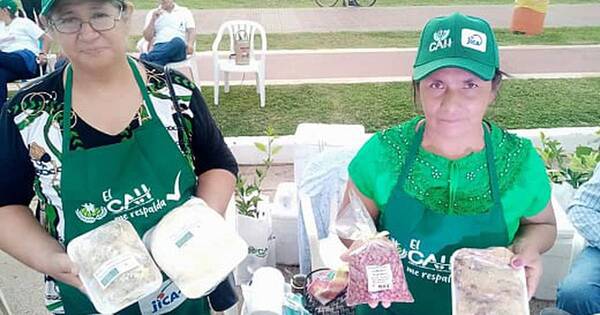 La Nación / Productores logran recaudación de G. 95 millones en expo del Crédito Agrícola
